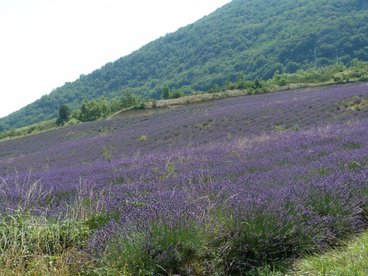 Вилла La Clairiere Pierrelongue Экстерьер фото